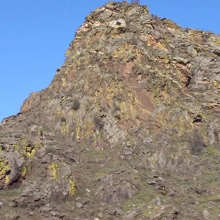 Congidouro Lejlighed