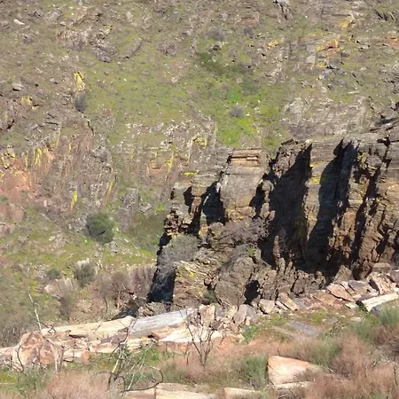 Congidouro Lejlighed *