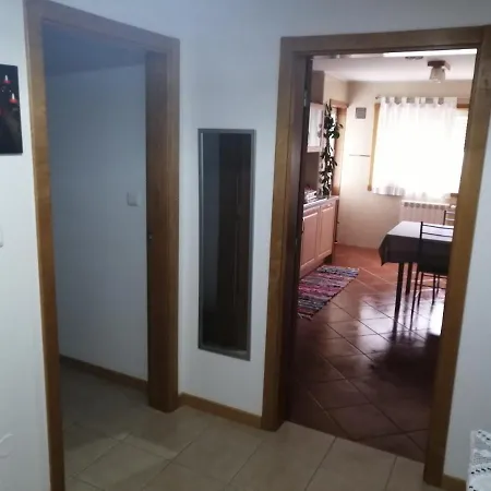 Apartment Congidouro *