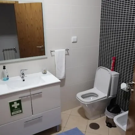 Apartment Congidouro *