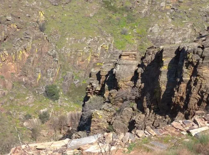 Congidouro Apartamento *